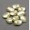 Tulip Petals 6х8 Alabaster Pastel Cream (10 шт) TP-2010-25039
