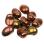 Tulip Petals 6х8 мм Jet California Gold Rush (10 шт) TP-23980-98542