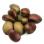 Tulip Petals 6х8 мм Jet California Gold Rush Matted (10 шт) TP-23980-98572