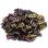 Tri-bead 4 мм Crystal Magic Purple Tri-00030-95500