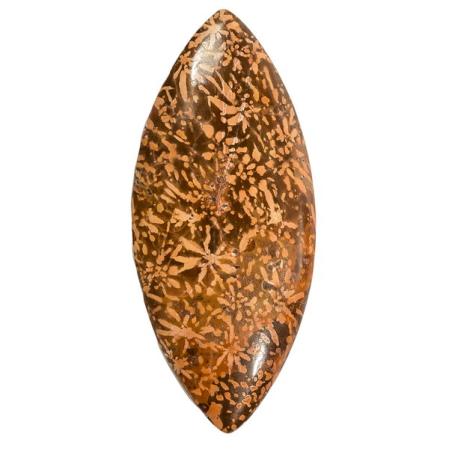 Яшма звездчатая (ЮАР)