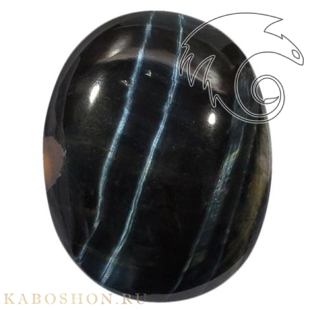 Соколиный глаз 1025042