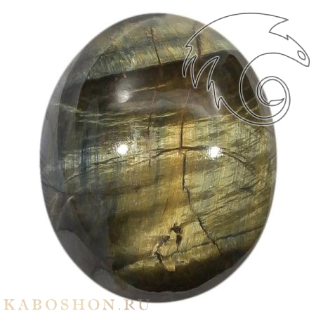 Соколиный глаз 1025062