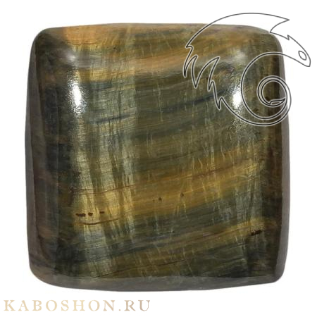 Соколиный глаз 1025064