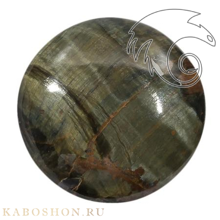 Соколиный глаз 1025069