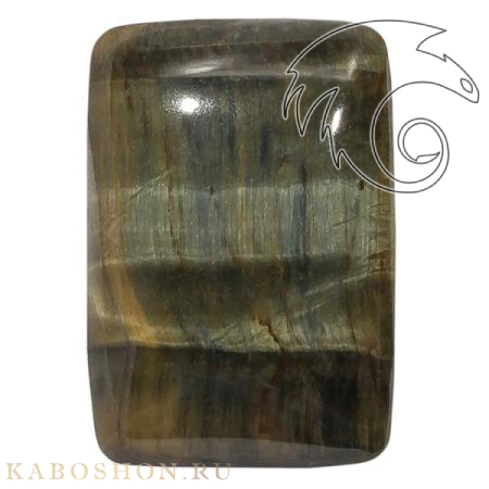 Соколиный глаз 1025080