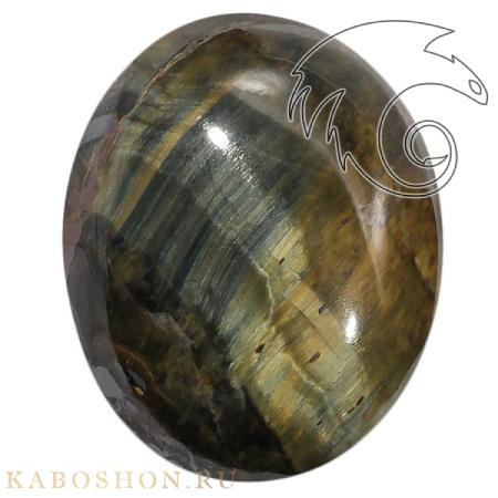 Соколиный глаз 1025092