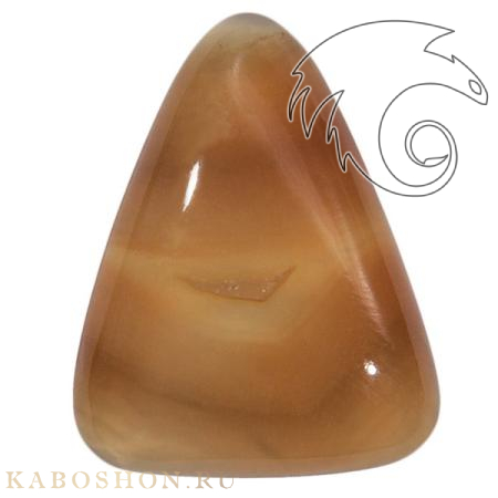 Сердолик 1026099