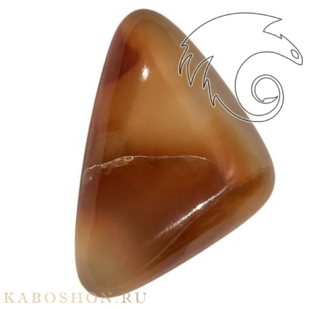 Сердолик 1026126