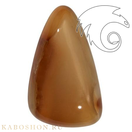 Сердолик 1026147