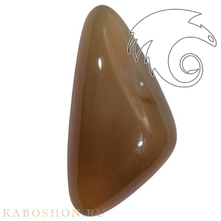 Сердолик 1026149