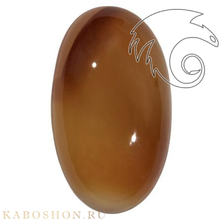 Сердолик 1026536