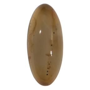 Сердолик Сердолик