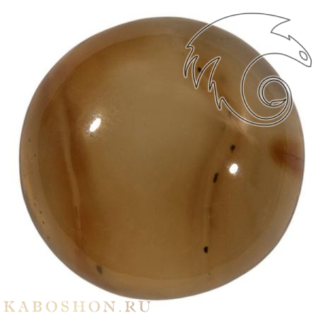 Сердолик 1026544