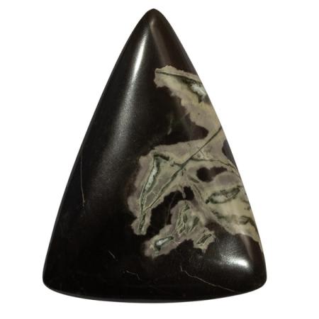 Роговик 1026638