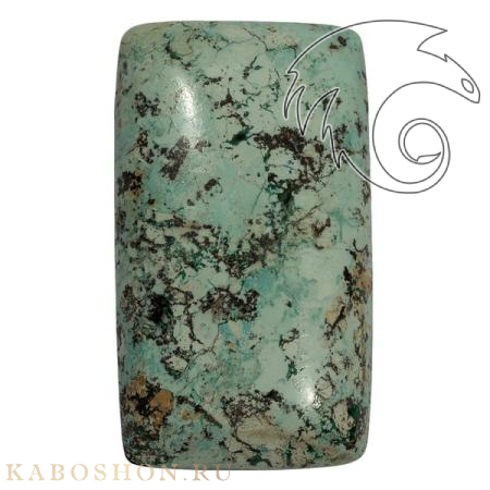 Опал с хризоколлой 1026775