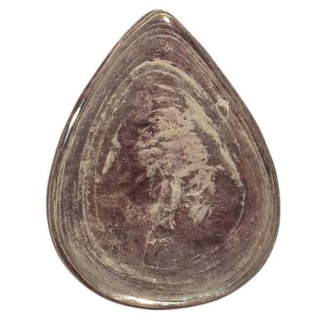 Лепидолит 1026947