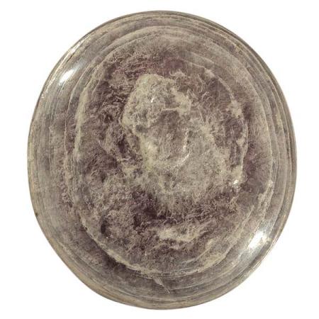 Лепидолит 1026978