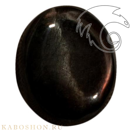 Лабрадор 1027762