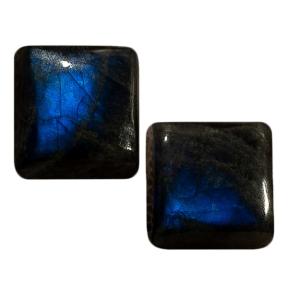 Лабрадор (пара)