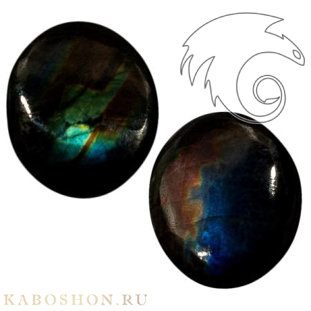 Лабрадор (пара) 1027766