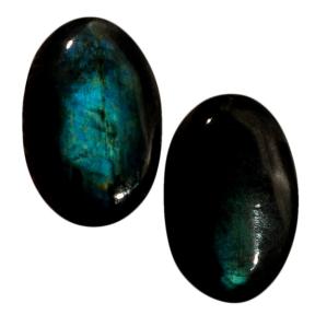 Лабрадор (пара)