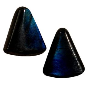 Лабрадор (пара)