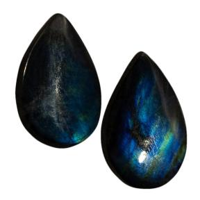 Лабрадор (пара)