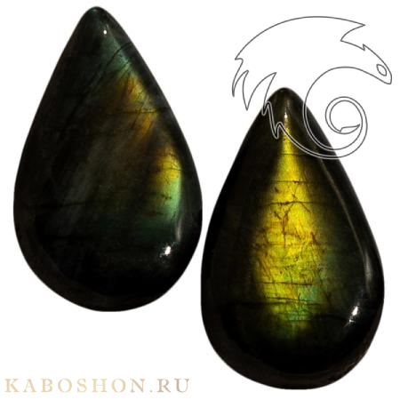 Лабрадор (пара) 1027772