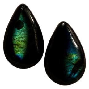 Лабрадор (пара)