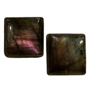 Лабрадор (пара)