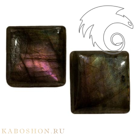 Лабрадор (пара) 1027940