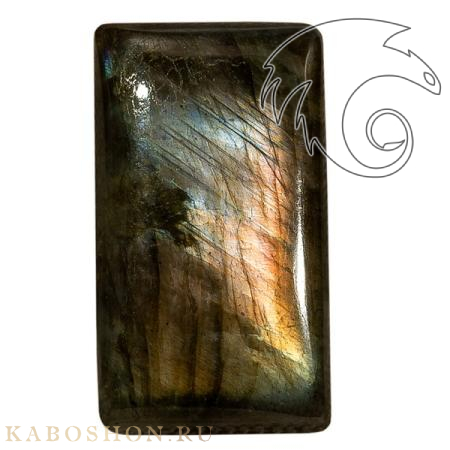 Лабрадор 1027941