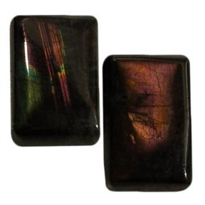 Лабрадор (пара)