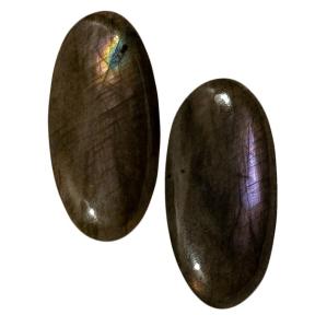 Лабрадор (пара)