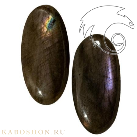 Лабрадор (пара) 1027946