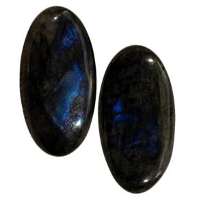 Лабрадор (пара)