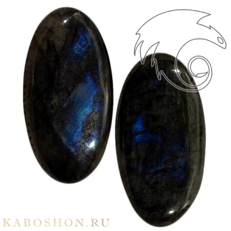 Лабрадор (пара) 1027948