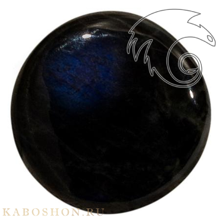 Лабрадор 1027951