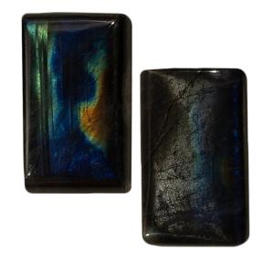 Лабрадор (пара)