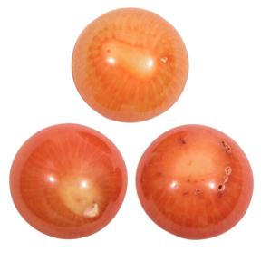 Коралл рыжий круглый 14 мм