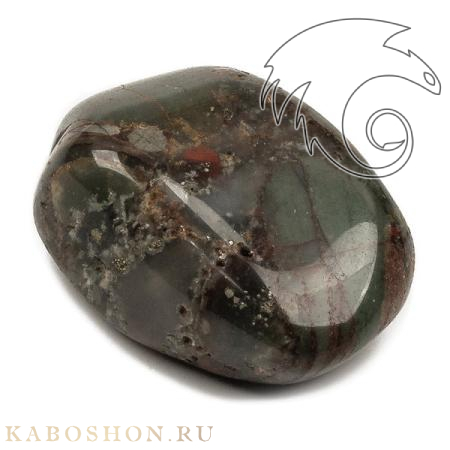 Гелиотроп Южная Африка XL SK-114271