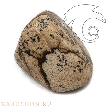 Яшма рисунчатая (Kalahari) L SK-118170