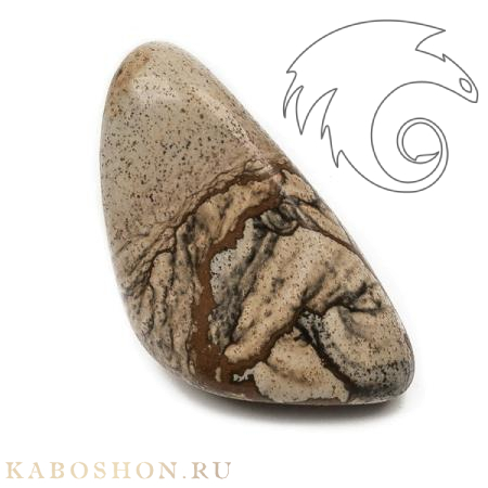 Яшма рисунчатая (Kalahari) XL SK-118187-XL