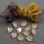 Swarovski Pear Fancy stone 14х10 мм Crystal Ivory Cream 4320-14-001-L106S Swarovski Pear Fancy stone 14х10 мм Crystal Ivory Cream 4320-14-001-L106S