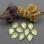 Swarovski Pear Fancy stone 14х10 мм Powder Yellow 4320-14-001-PYEL